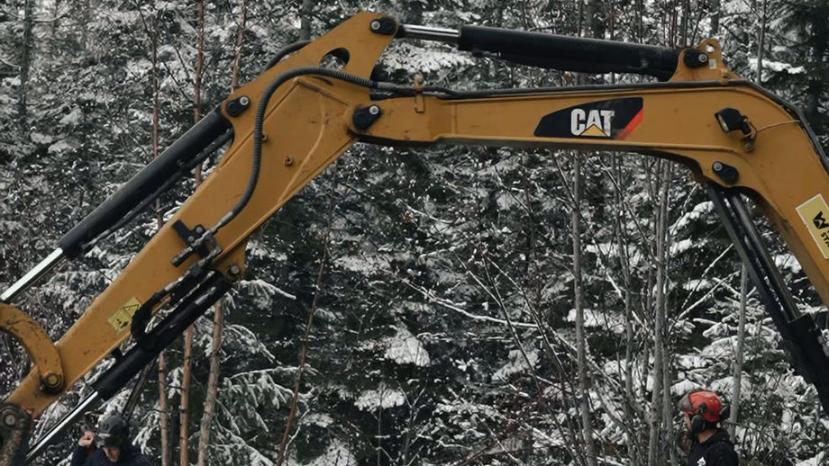 Northwest Tree Care